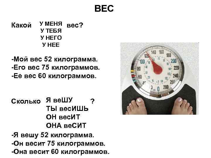 ВЕС Какой У МЕНЯ У ТЕБЯ У НЕГО У НЕЕ вес? -Мой вес 52