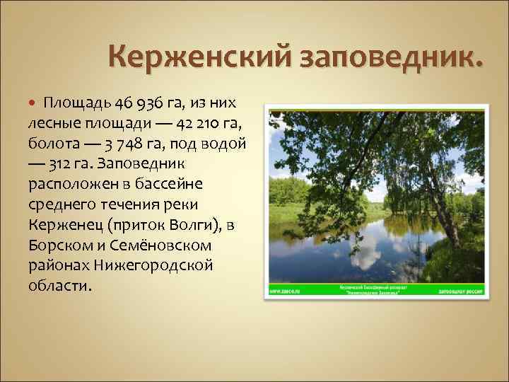 Презентация керженский заповедник нижегородской области