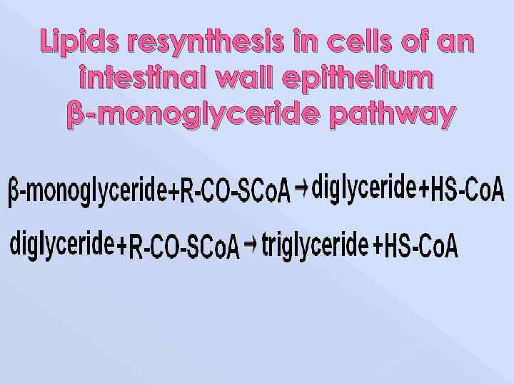 Lipids resynthesis in cells of an intestinal wall epithelium β-monoglyceride pathway 
