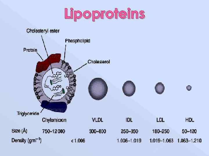Lipoproteins 