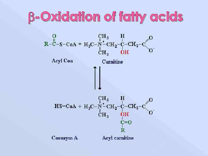  -Oxidation of fatty acids 