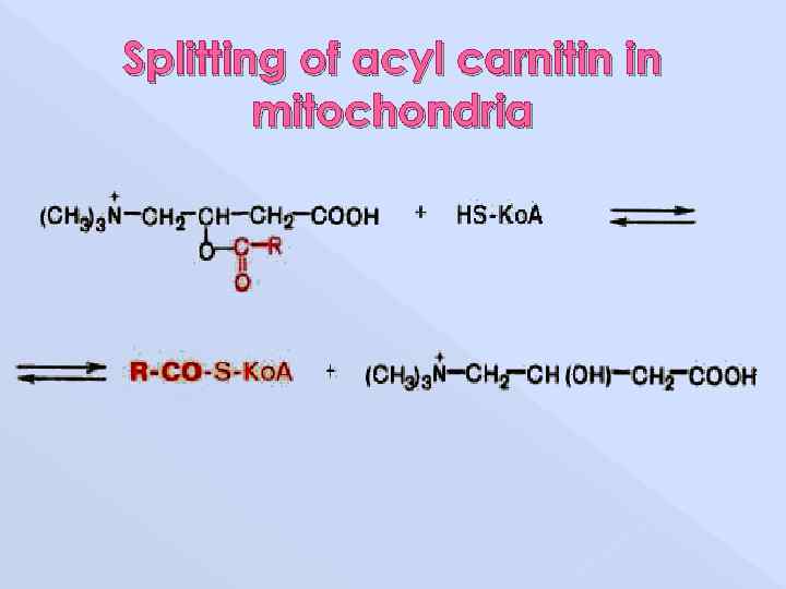 Splitting of acyl carnitin in mitochondria 