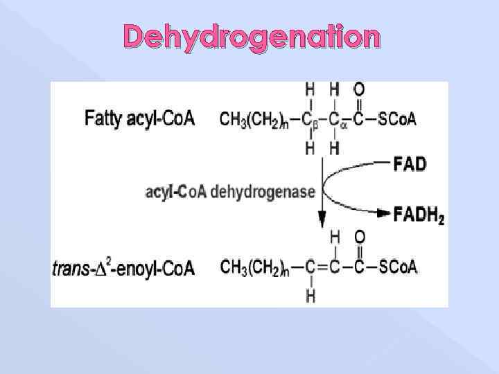 Dehydrogenation 