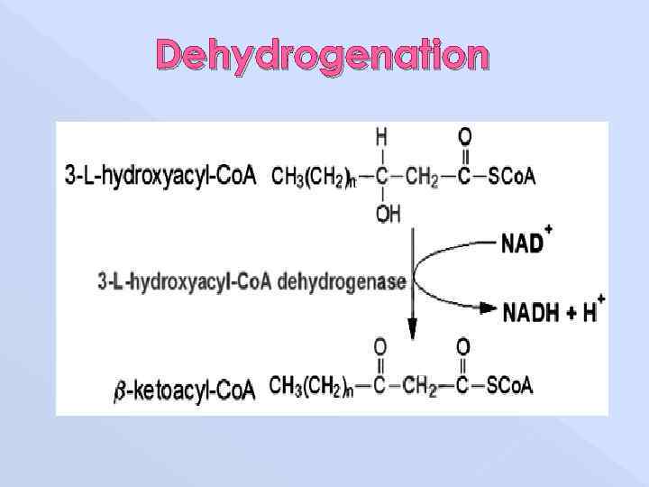 Dehydrogenation 