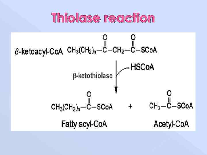 Thiolase reaction 