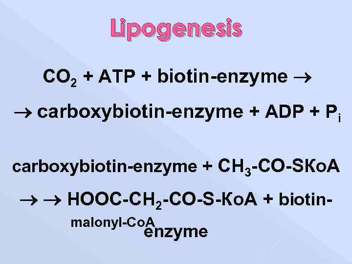 Lipogenesis СО 2 + АТP + biotin-enzyme carboxybiotin-enzyme + АDP + Pi carboxybiotin-enzyme +