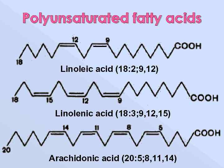 Polyunsaturated fatty acids Linoleic acid (18: 2; 9, 12) Linolenic acid (18: 3; 9,