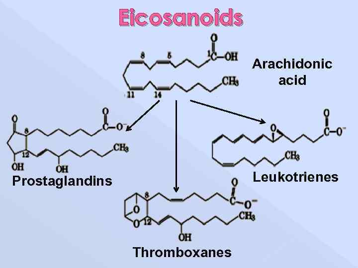 Eicosanoids Arachidonic acid Leukotrienes Prostaglandins Thromboxanes 