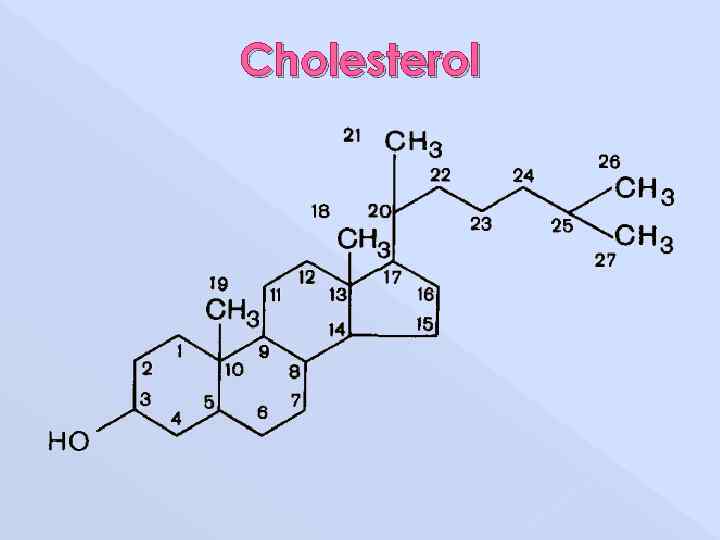 Cholesterol 