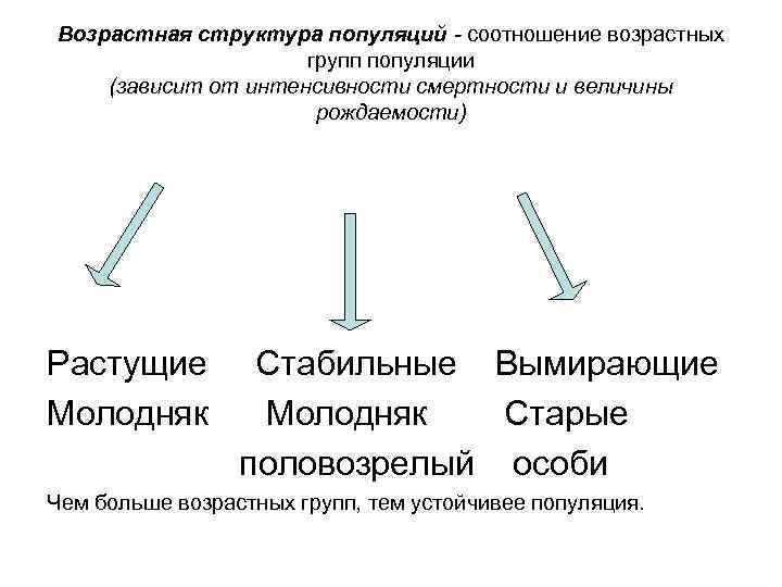 Группа горилл представленная на рисунке иллюстрируют структуру популяции