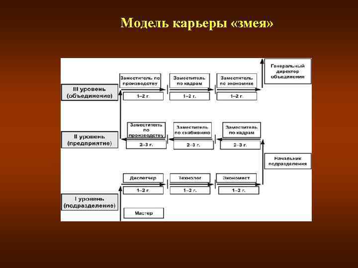 4 модели карьеры. Модель карьеры змея. Модель служебной карьеры змея. Основные модели карьеры. Модели карьерного продвижения.