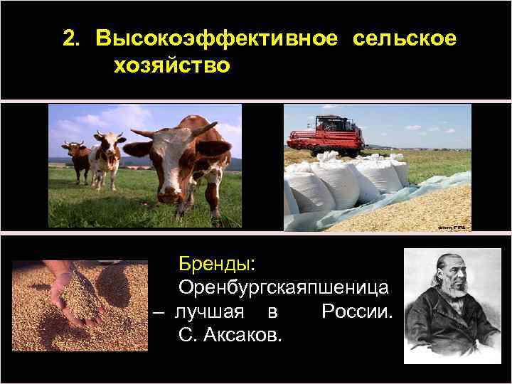 2. Высокоэффективное сельское хозяйство Бренды: Оренбургскаяпшеница – лучшая в России. С. Аксаков. 