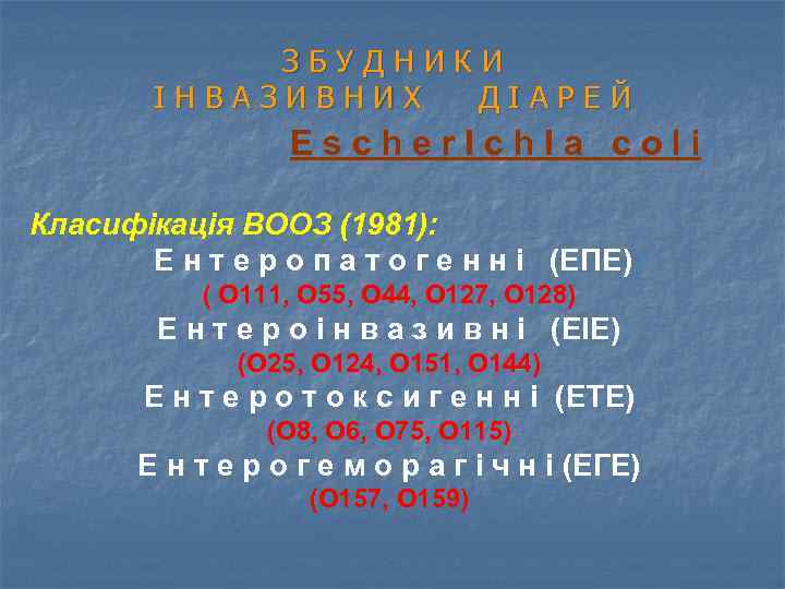 ЗБУДНИКИ ІНВАЗИВНИХ ДІАРЕЙ Escher. Ich. Ia colі Класифікація ВООЗ (1981): Е н т е