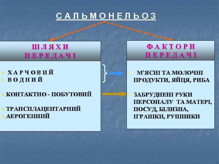 САЛЬМОНЕЛЬОЗ ФАКТОРИ ПЕРЕДАЧІ ШЛЯХИ ПЕРЕДАЧІ Ø Ø Ø ХАРЧОВИЙ ВОДНИЙ КОНТАКТНО - ПОБУТОВИЙ ТРАНСПЛАЦЕНТАРНИЙ