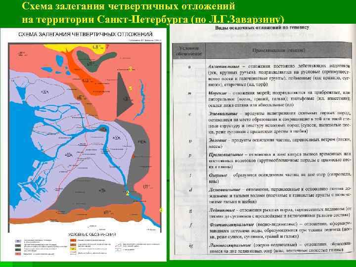 Схема залегания четвертичных отложений на территории Санкт-Петербурга (по Л. Г. Заварзину) 7 3 5