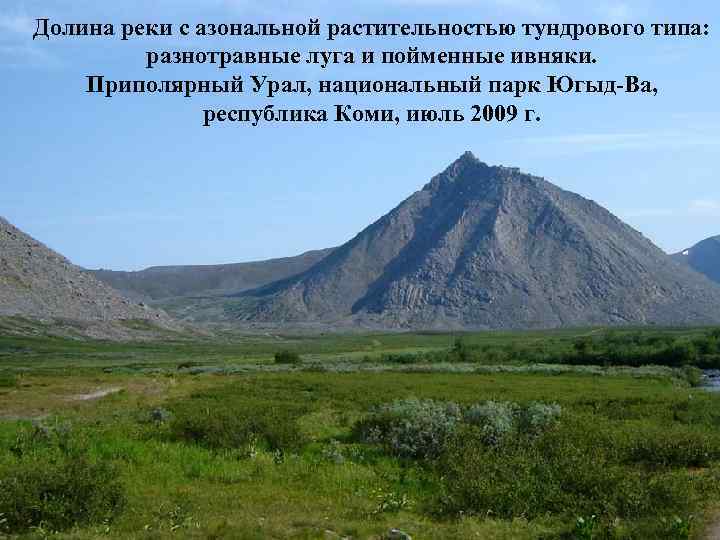 Долина реки с азональной растительностью тундрового типа: разнотравные луга и пойменные ивняки. Приполярный Урал,