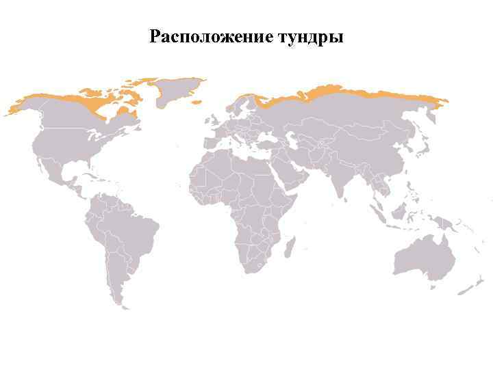 Расположение тундры 