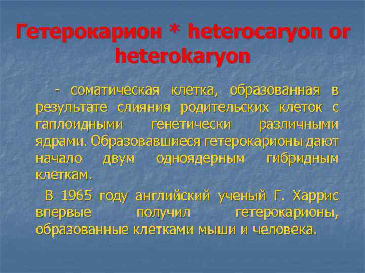 Гетерокарион * heterocaryon or heterokaryon - соматическая клетка, образованная в результате слияния родительских клеток