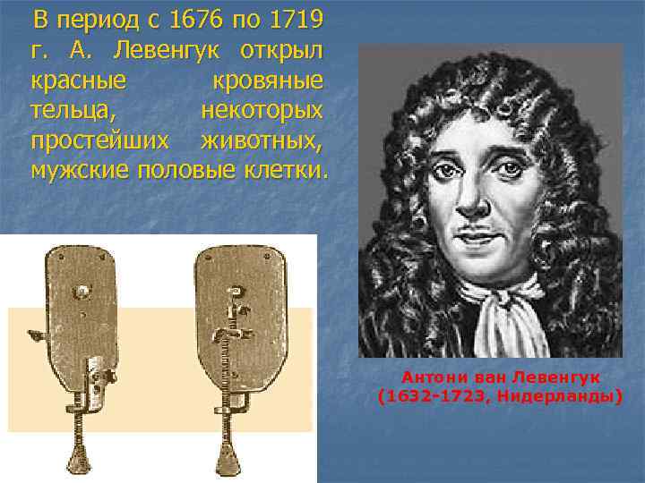  В период с 1676 по 1719 г. А. Левенгук открыл красные кровяные тельца,
