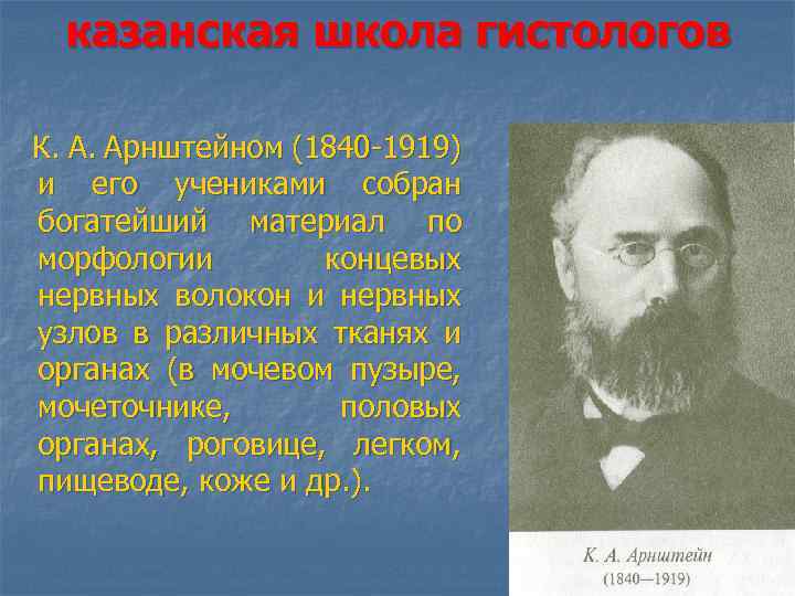 казанская школа гистологов К. А. Арнштейном (1840 -1919) и его учениками собран богатейший материал