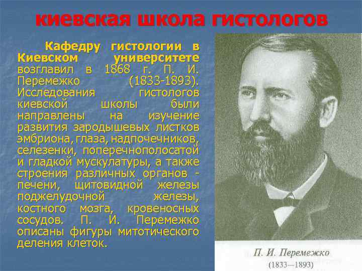 киевская школа гистологов Кафедру гистологии в Киевском университете возглавил в 1868 г. П. И.