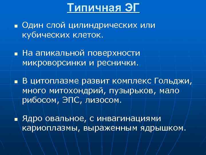Типичная ЭГ n n Один слой цилиндрических или кубических клеток. На апикальной поверхности микроворсинки