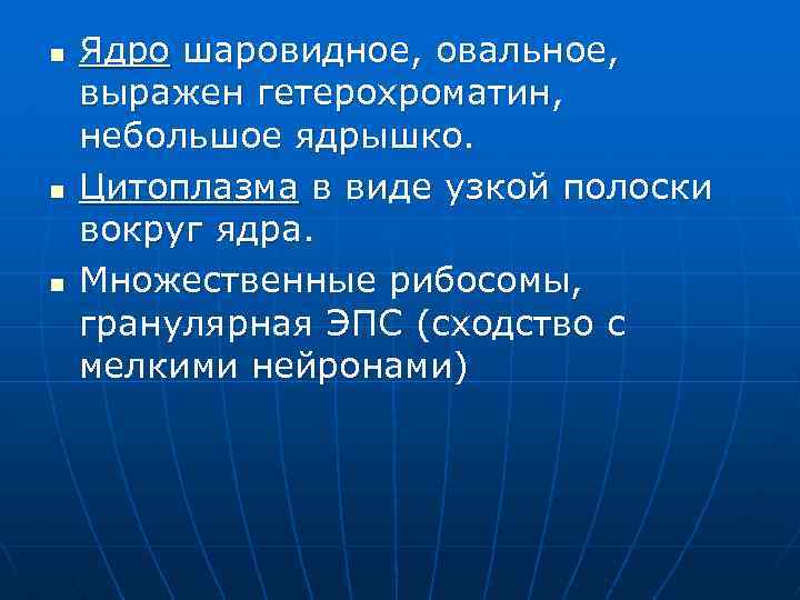 n n n Ядро шаровидное, овальное, выражен гетерохроматин, небольшое ядрышко. Цитоплазма в виде узкой