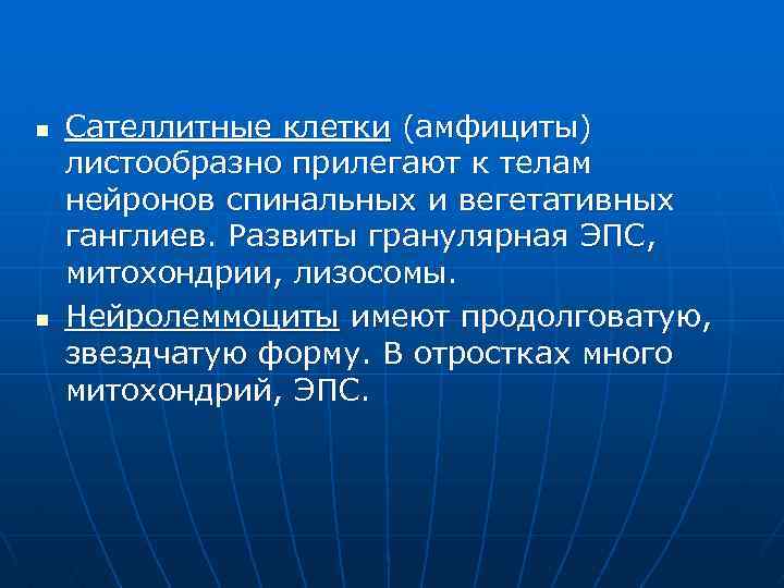 n n Сателлитные клетки (амфициты) листообразно прилегают к телам нейронов спинальных и вегетативных ганглиев.