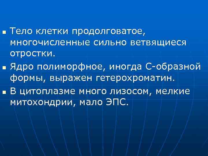 n n n Тело клетки продолговатое, многочисленные сильно ветвящиеся отростки. Ядро полиморфное, иногда С-образной