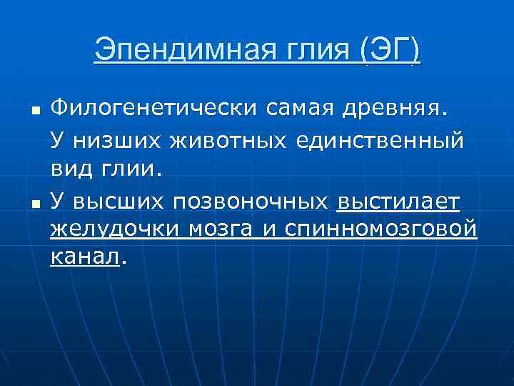 Эпендимная глия (ЭГ) n n Филогенетически самая древняя. У низших животных единственный вид глии.