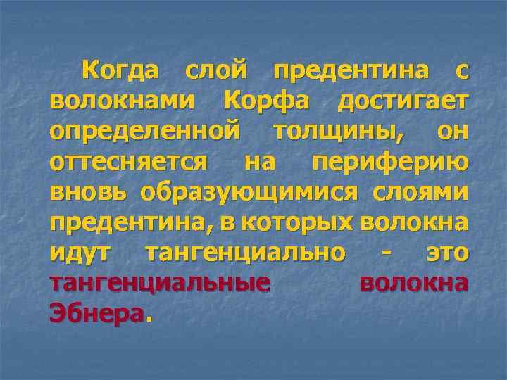 Когда слой предентина с волокнами Корфа достигает определенной толщины, он оттесняется на периферию вновь