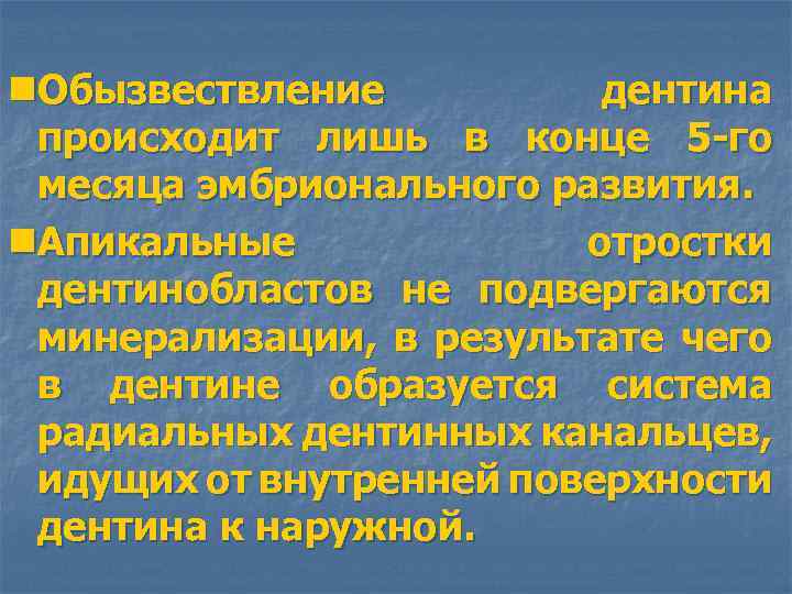 n. Обызвествление дентина происходит лишь в конце 5 -го месяца эмбрионального развития. n. Апикальные