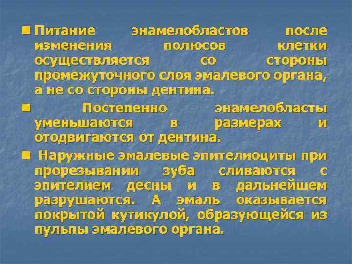 n Питание энамелобластов после изменения полюсов клетки осуществляется со стороны промежуточного слоя эмалевого органа,