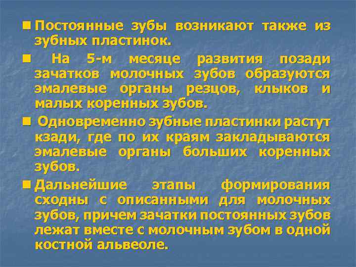 n Постоянные зубы возникают также из зубных пластинок. n На 5 -м месяце развития