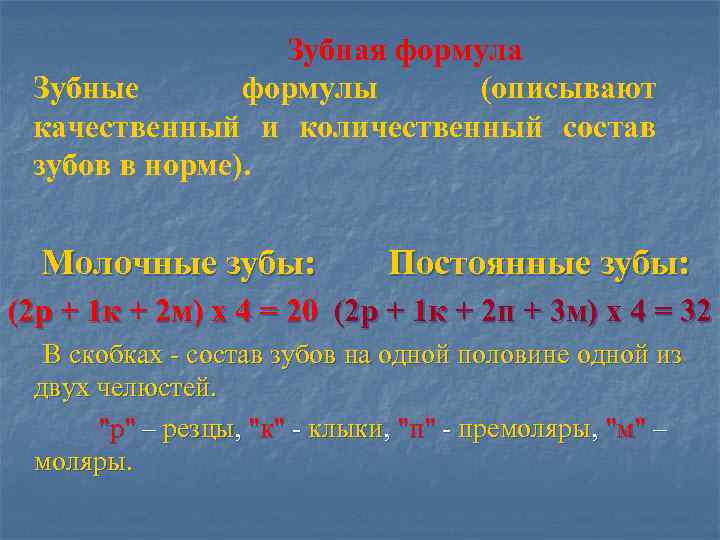 Зубная формула Зубные формулы (описывают качественный и количественный состав зубов в норме). Молочные зубы: