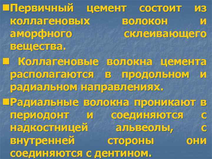 n. Первичный цемент состоит из коллагеновых волокон и аморфного склеивающего вещества. n Коллагеновые волокна