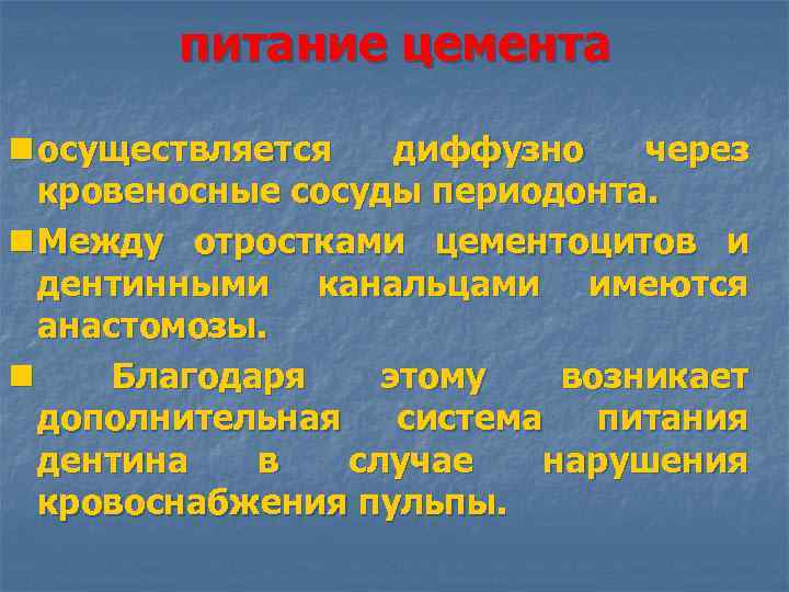 питание цемента n осуществляется диффузно через кровеносные сосуды периодонта. n Между отростками цементоцитов и