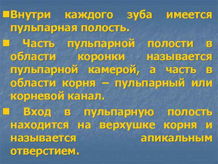 n. Внутри каждого зуба имеется пульпарная полость. n Часть пульпарной полости в области коронки