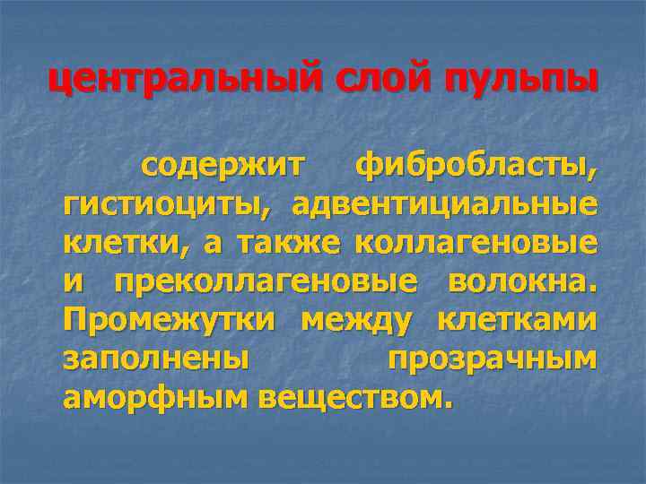 центральный слой пульпы содержит фибробласты, гистиоциты, адвентициальные клетки, а также коллагеновые и преколлагеновые волокна.