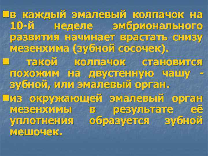 nв каждый эмалевый колпачок на 10 -й неделе эмбрионального развития начинает врастать снизу мезенхима
