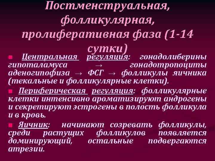 Фолликулярная фаза. Постменструальная фаза гистология. Постменструальная фаза (пролиферативная). Постменструальный период гистология. Гонадотропоциты аденогипофиза.