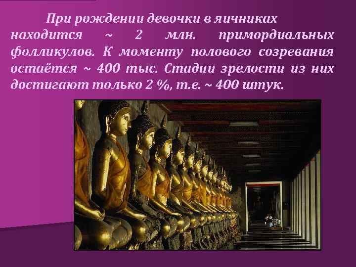 При рождении девочки в яичниках находится ~ 2 млн. примордиальных фолликулов. К моменту полового
