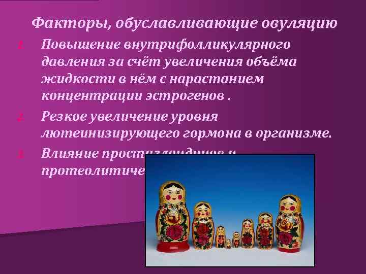 Факторы, обуславливающие овуляцию 1. 2. 3. Повышение внутрифолликулярного давления за счёт увеличения объёма жидкости