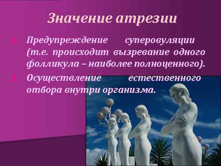Значение атрезии Предупреждение суперовуляции (т. е. происходит вызревание одного фолликула – наиболее полноценного). 2.