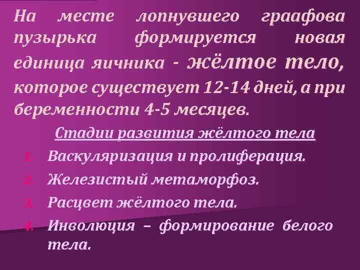 На месте лопнувшего граафова пузырька формируется новая единица яичника - жёлтое тело, которое существует
