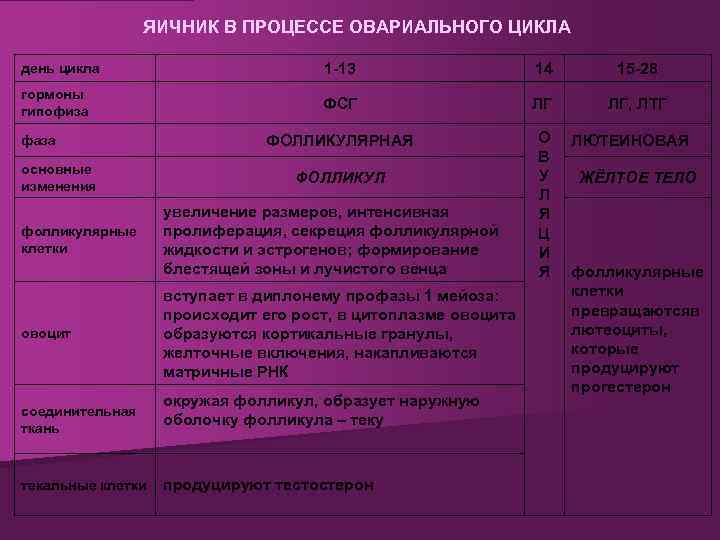 ЯИЧНИК В ПРОЦЕССЕ ОВАРИАЛЬНОГО ЦИКЛА день цикла 1 -13 14 15 -28 гормоны гипофиза
