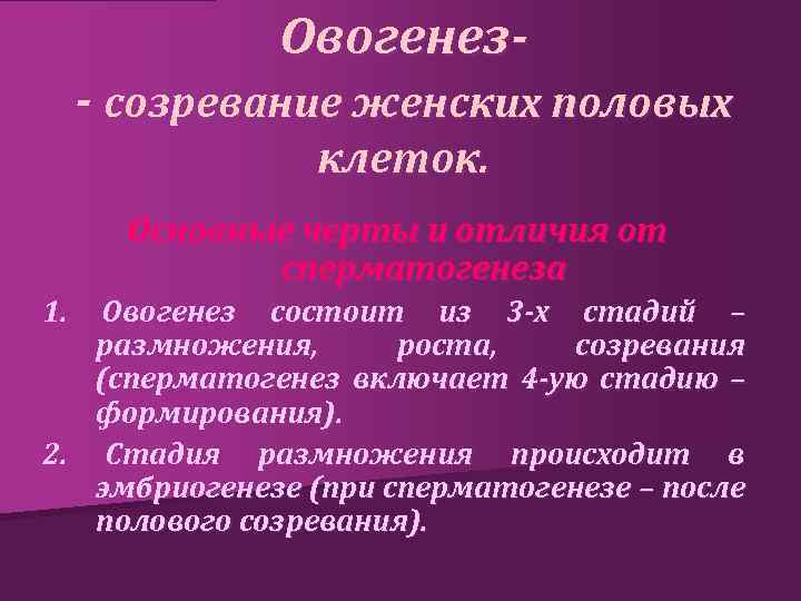Овогенез- - созревание женских половых клеток. Основные черты и отличия от сперматогенеза 1. Овогенез