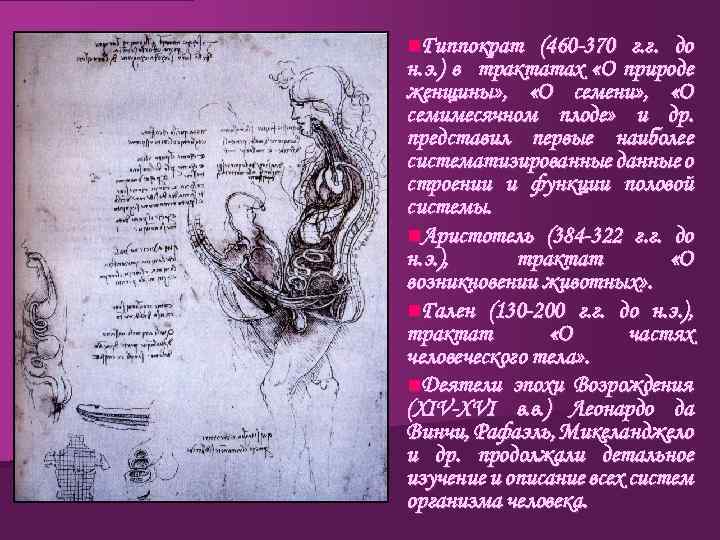 n. Гиппократ (460 -370 г. г. до н. э. ) в трактатах «О природе