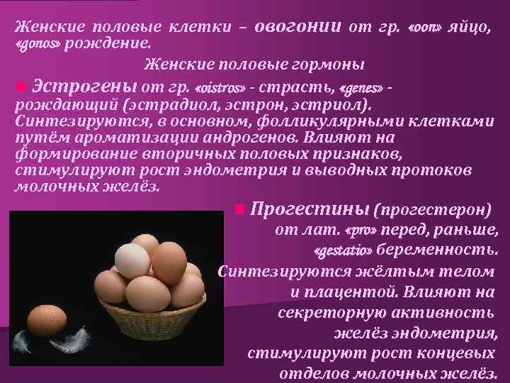 Женские половые клетки – овогонии от гр. «oon» яйцо, «gonos» рождение. Женские половые гормоны
