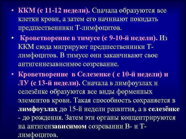  • ККМ (с 11 -12 недели). Сначала образуются все клетки крови, а затем